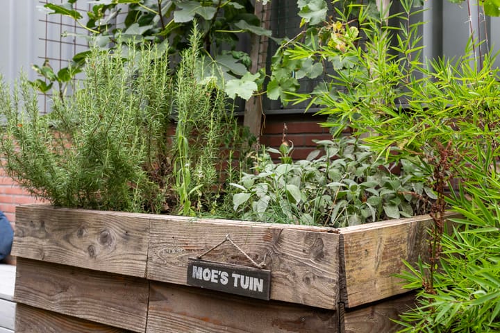 Photo 48 of Veldhuisstraat 24