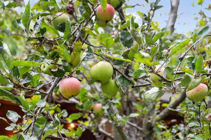 Photo 49 of Veldhuisstraat 24