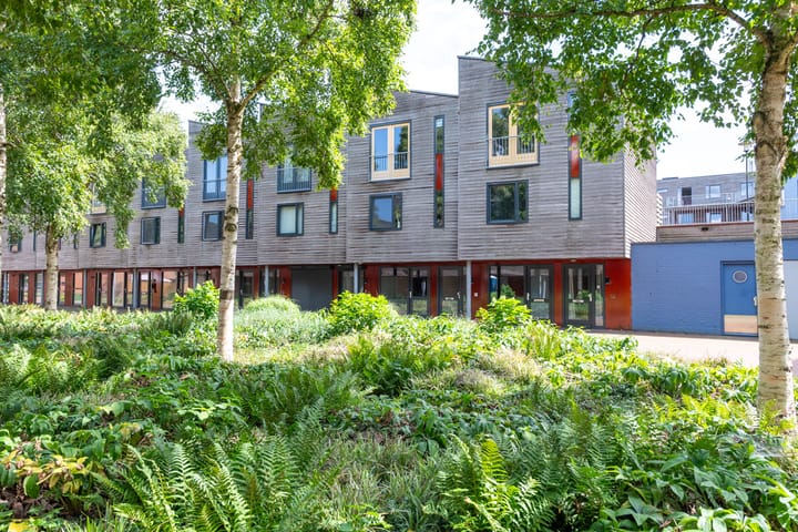 Photo 5 of Linie 243