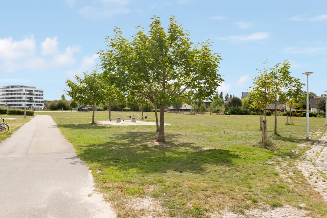 Foto 38 van Plantenkasstraat 26