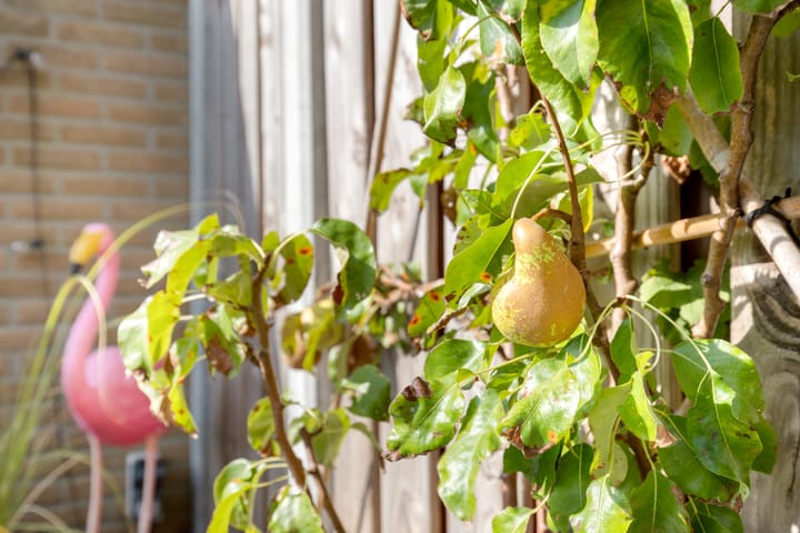 Foto 43 van Bereklauw 5