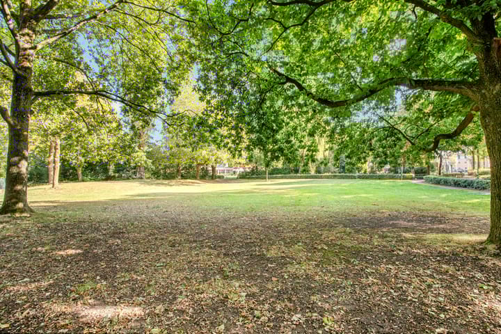 Foto 46 van Bereklauw 5