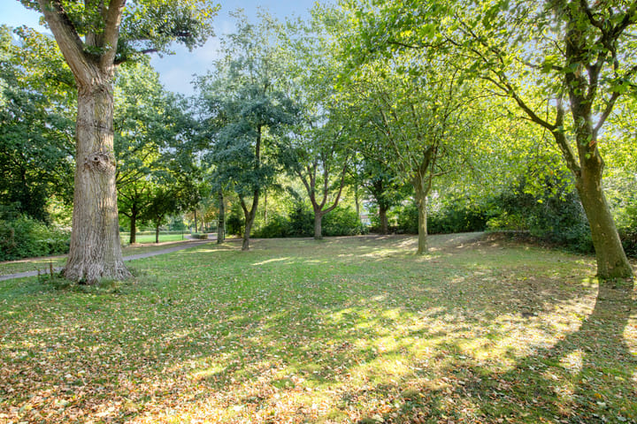 Foto 47 van Bereklauw 5