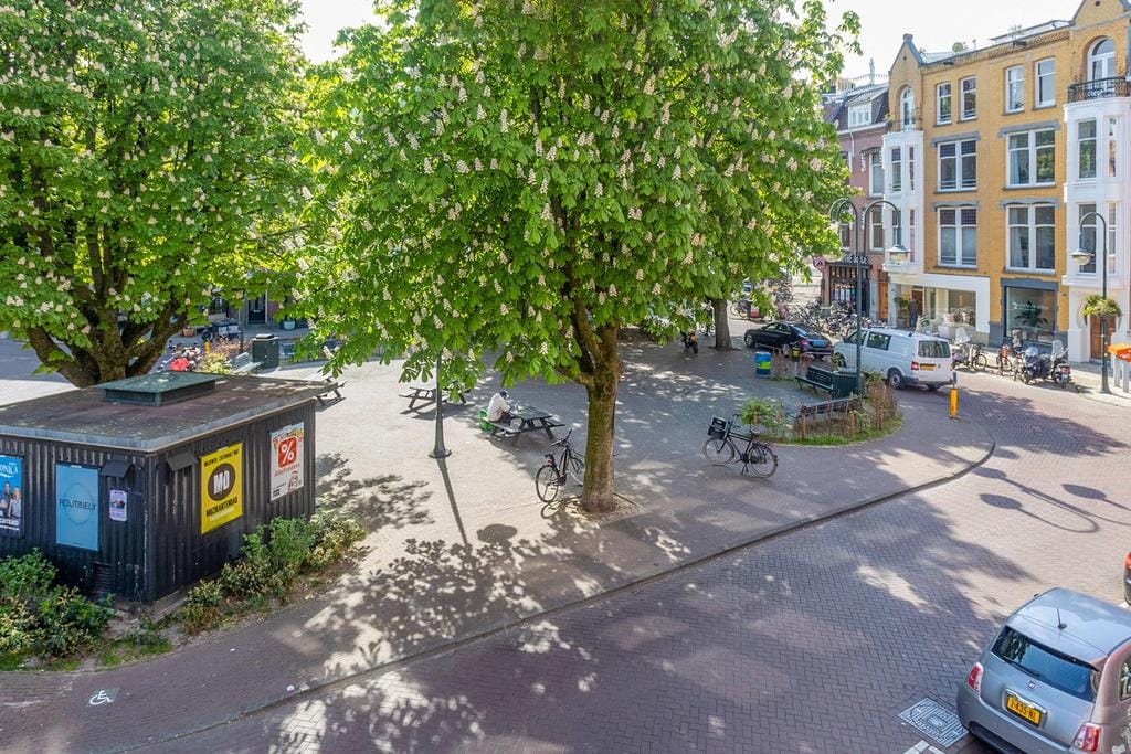 Foto 7 van Cornelis Schuytstraat 44-1
