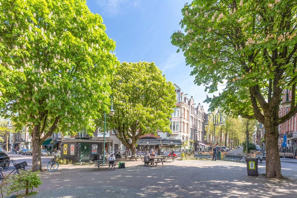 Foto 25 van Cornelis Schuytstraat 44-1
