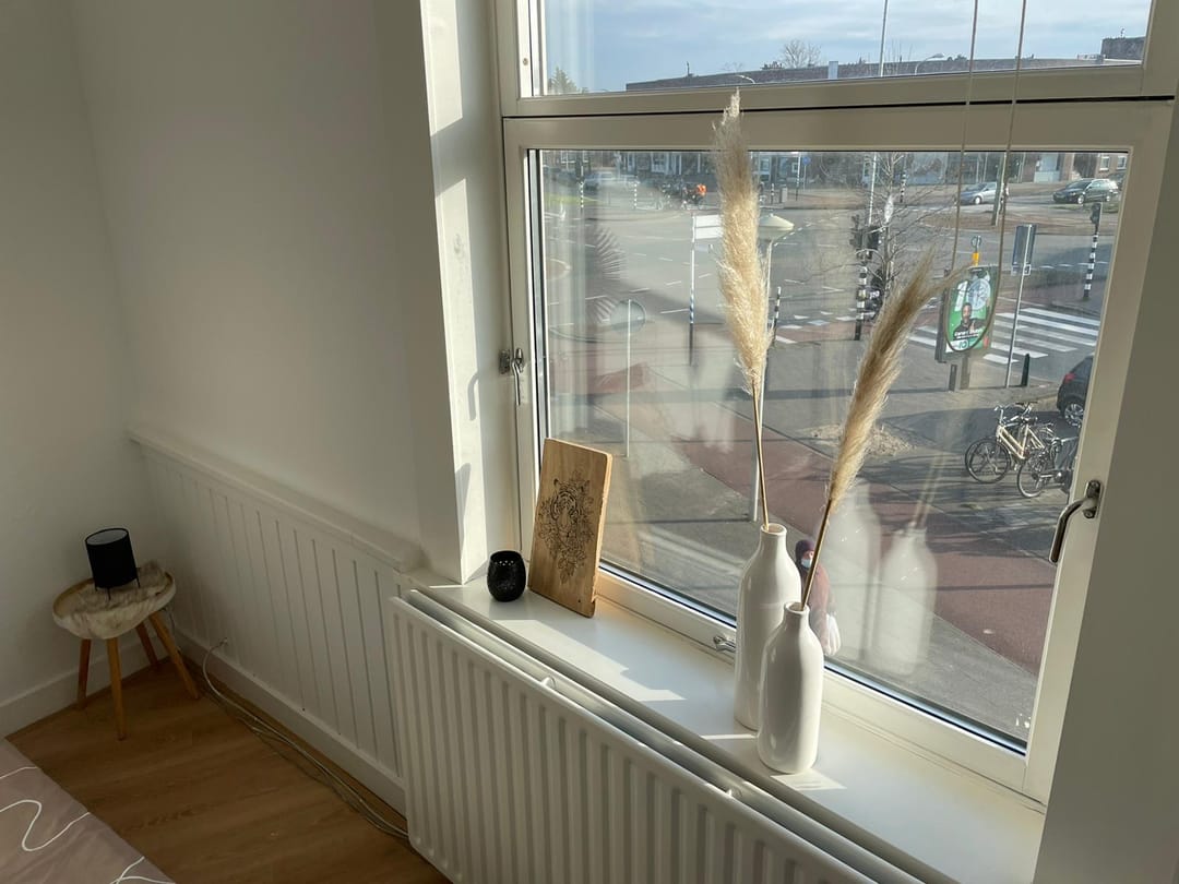 Foto 23 van Zuiderparklaan 218