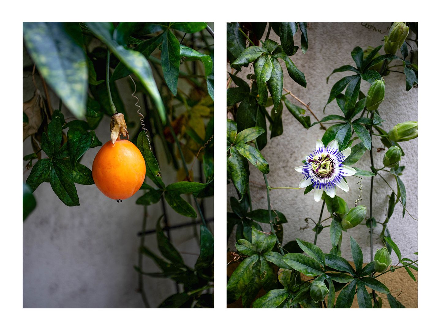 Foto 25 van Spieghelstraat 28