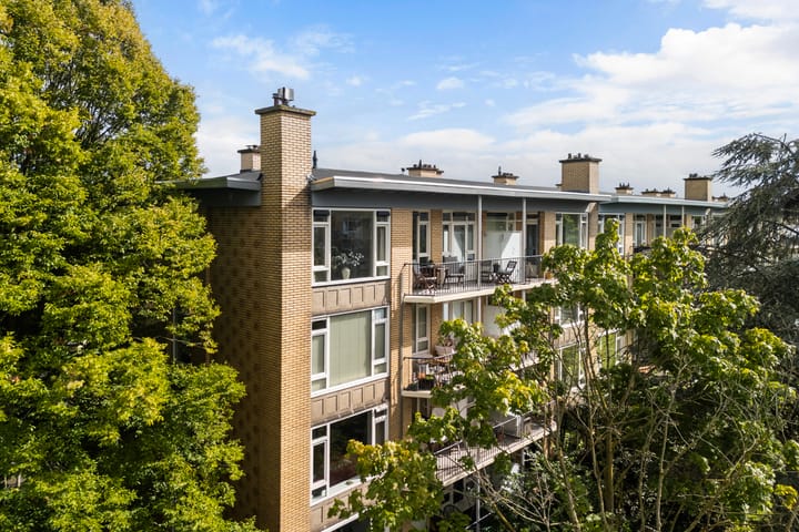 Foto 1 van Tolsteegplantsoen 26-3