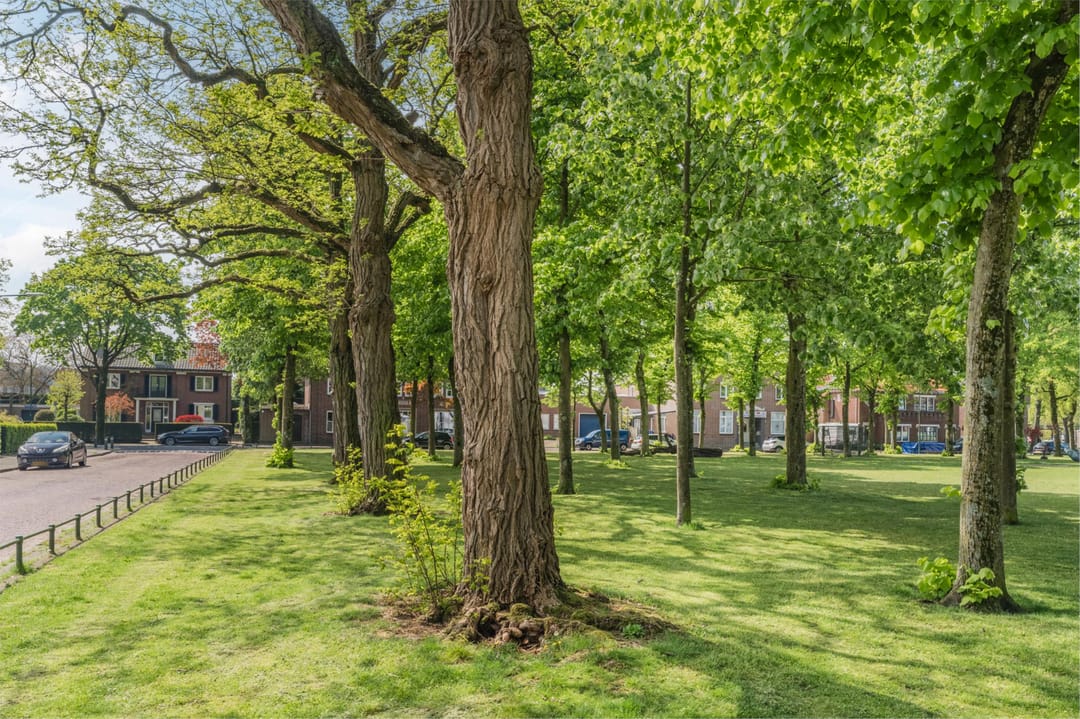 Photo 38 of Burgemeester Sweensplein 21