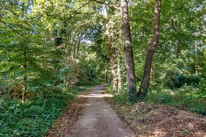 Foto 62 van Generaal Winkelmanstraat 155