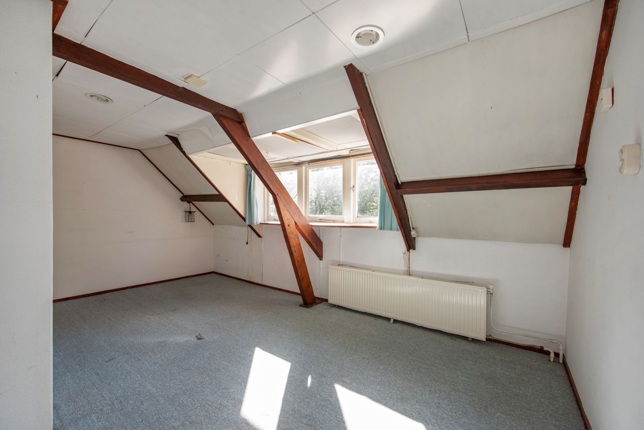 Foto 33 van Koningin Wilhelminalaan 29