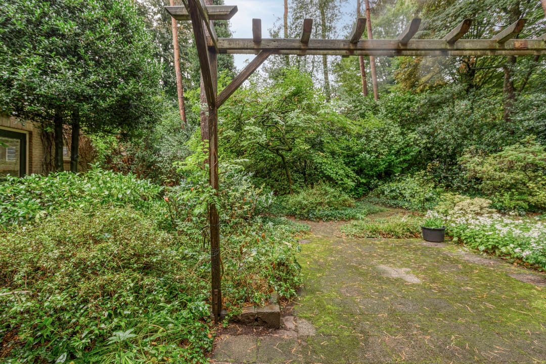 Foto 37 van Berkenlaan 5