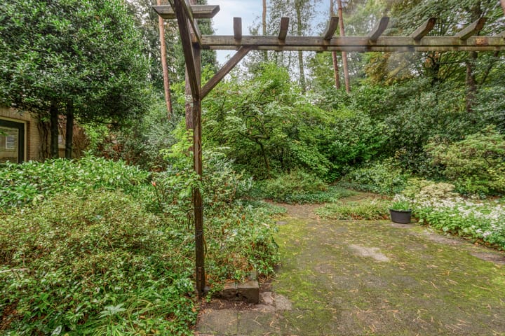 Foto 37 van Berkenlaan 5