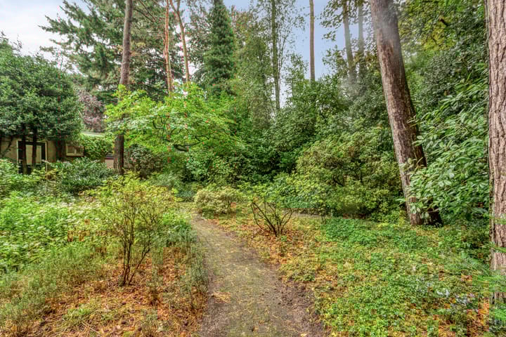 Foto 38 van Berkenlaan 5