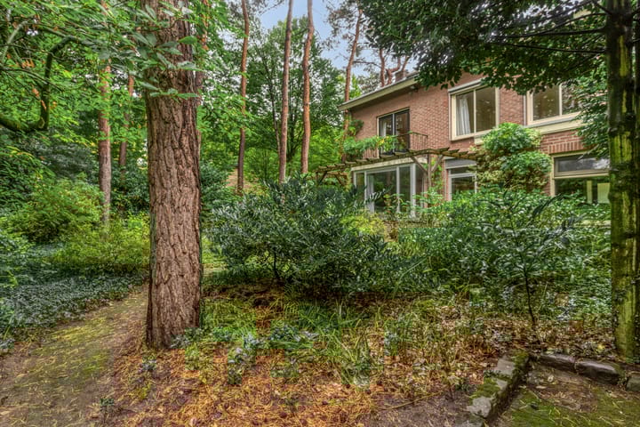 Foto 40 van Berkenlaan 5