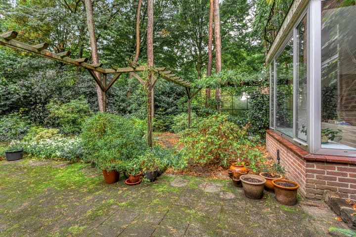 Foto 41 van Berkenlaan 5