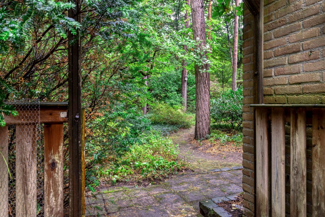 Foto 43 van Berkenlaan 5