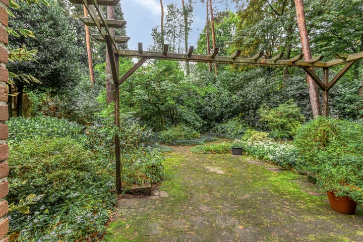 Foto 45 van Berkenlaan 5