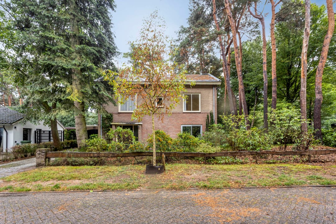 Foto 46 van Berkenlaan 5