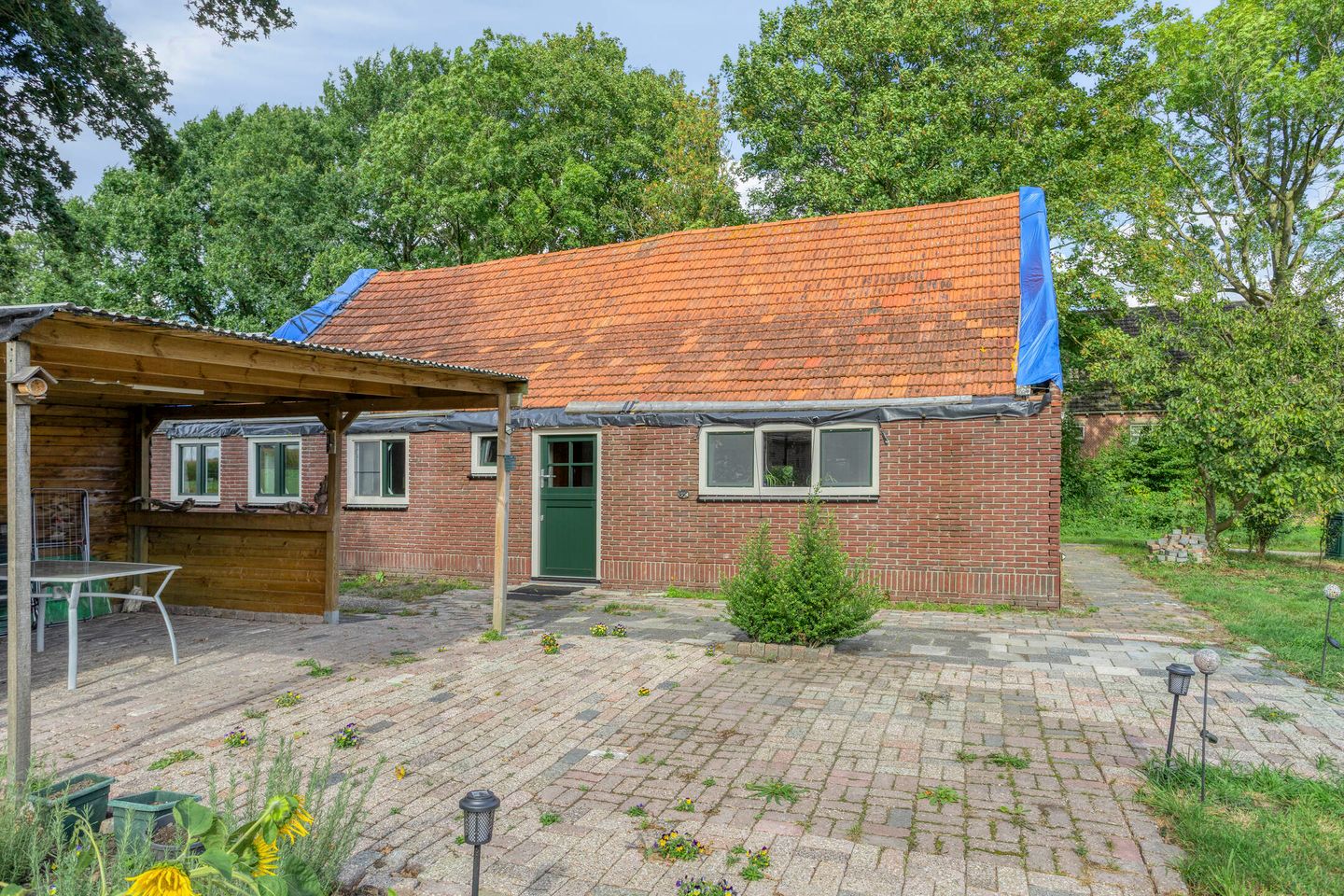 Foto 4 van Noordercolonie 68