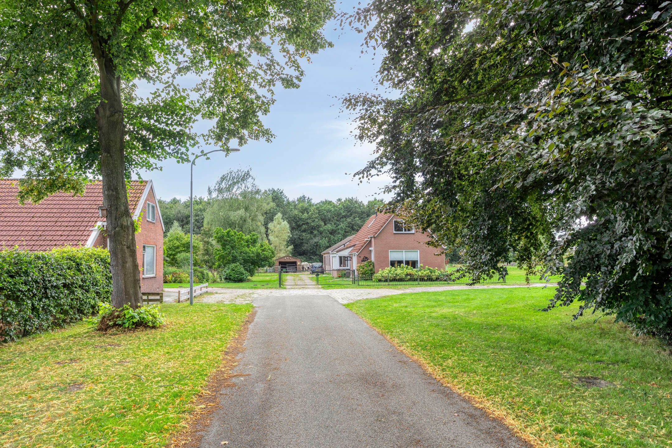 Foto 6 van Noordercolonie 68