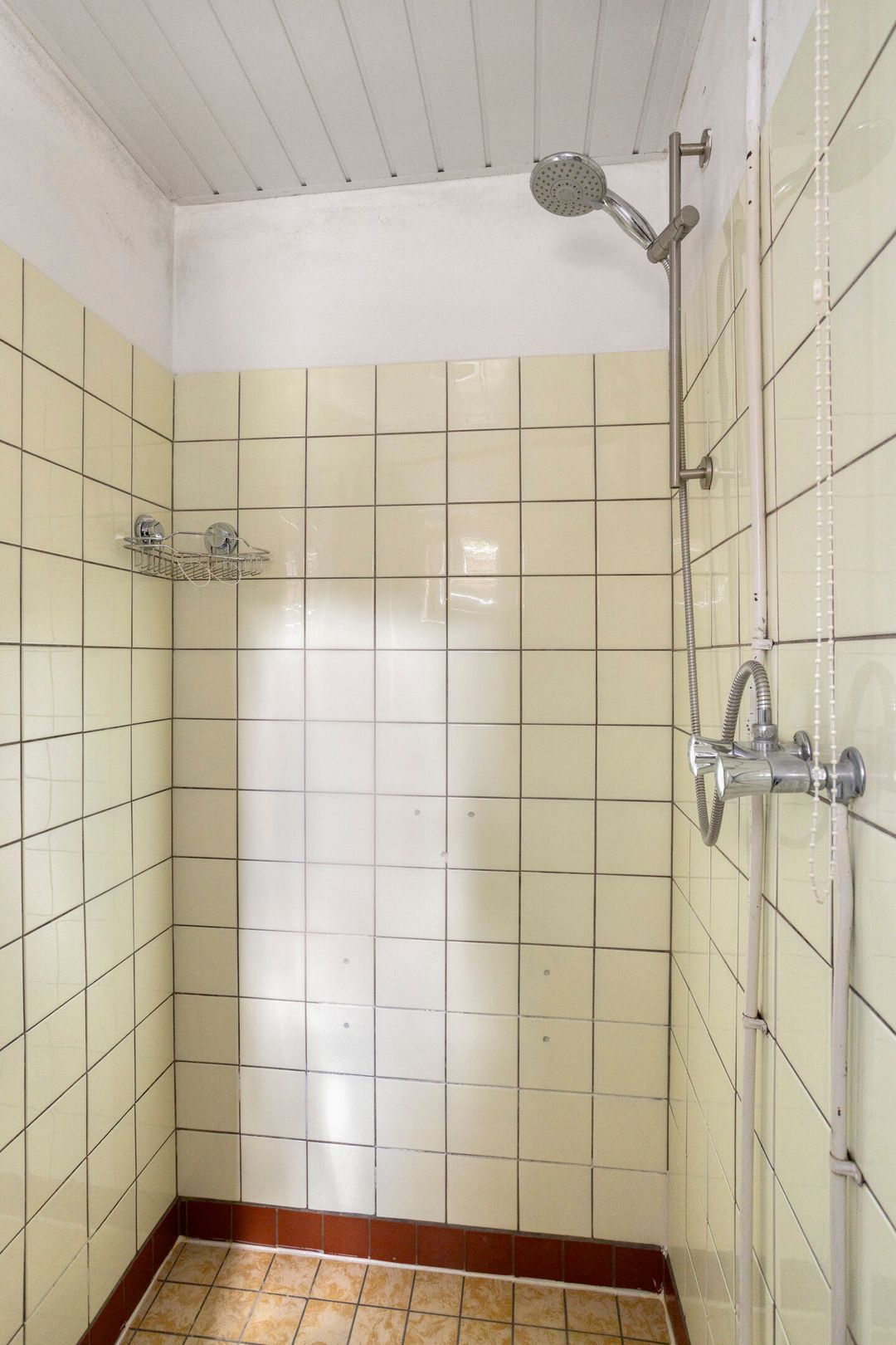 Foto 8 van Noordercolonie 68