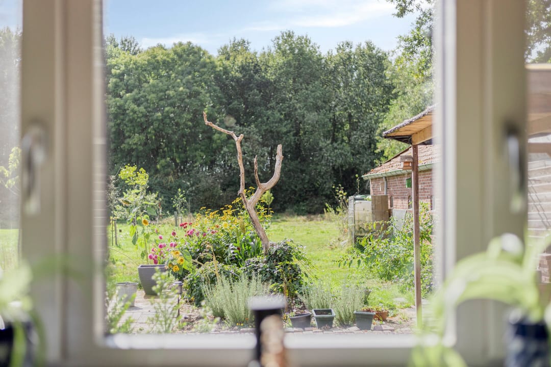 Foto 16 van Noordercolonie 68