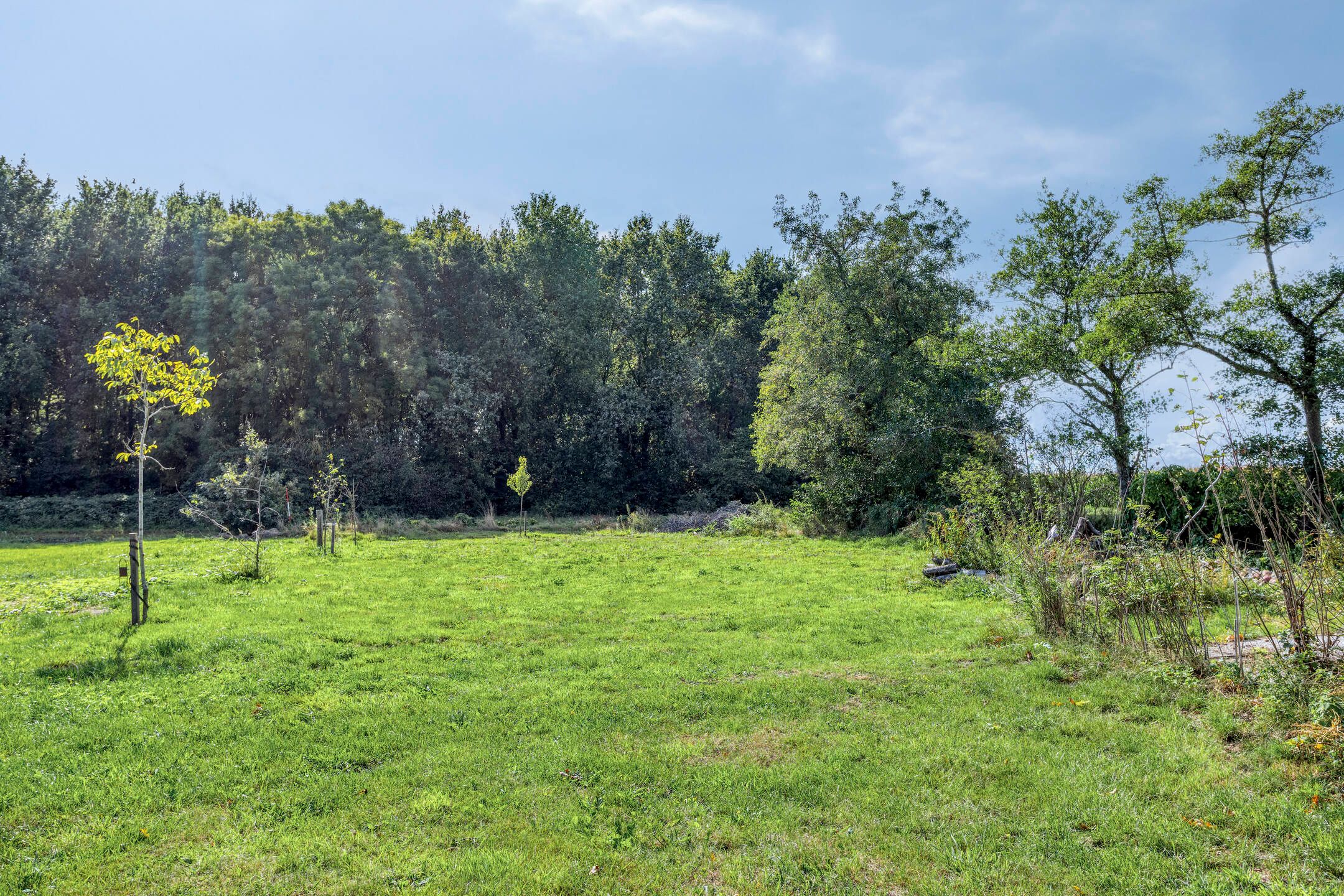 Foto 39 van Noordercolonie 68