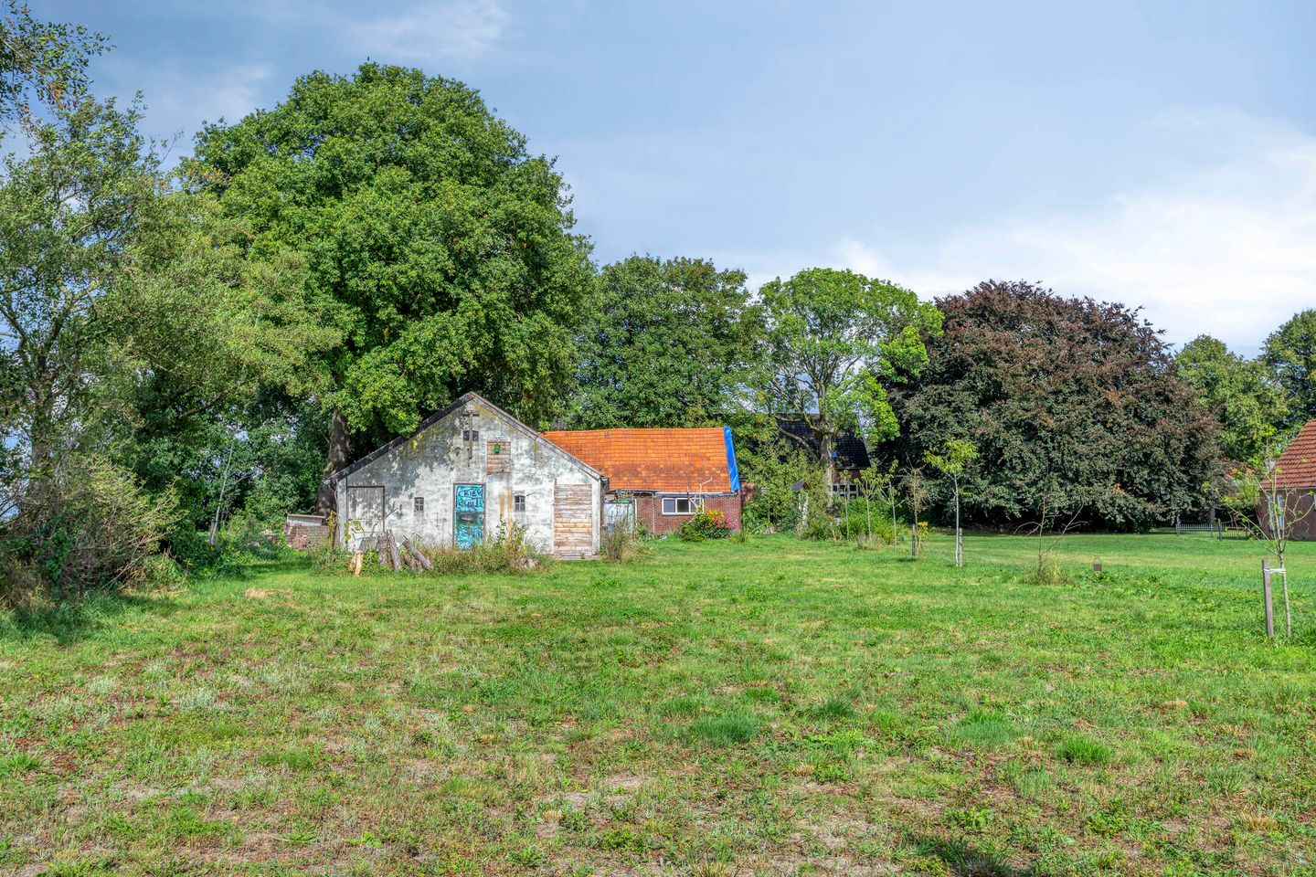 Foto 40 van Noordercolonie 68