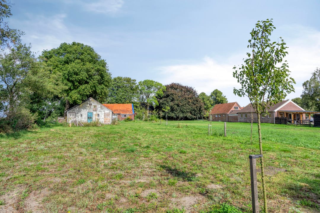 Foto 41 van Noordercolonie 68