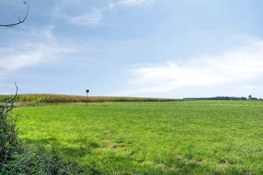 Foto 43 van Noordercolonie 68