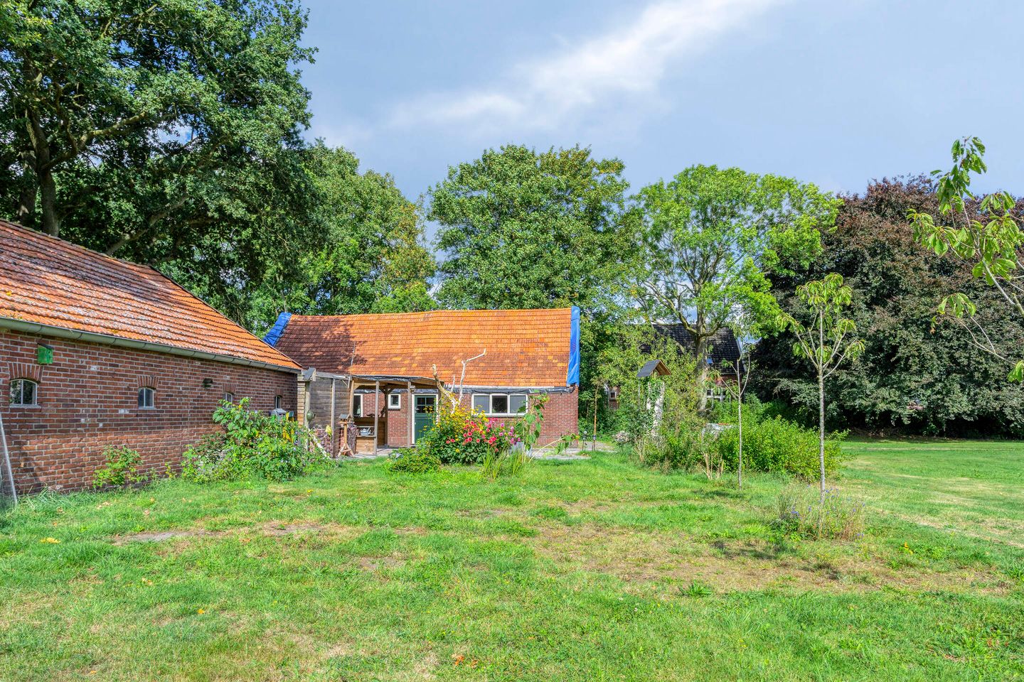 Foto 44 van Noordercolonie 68