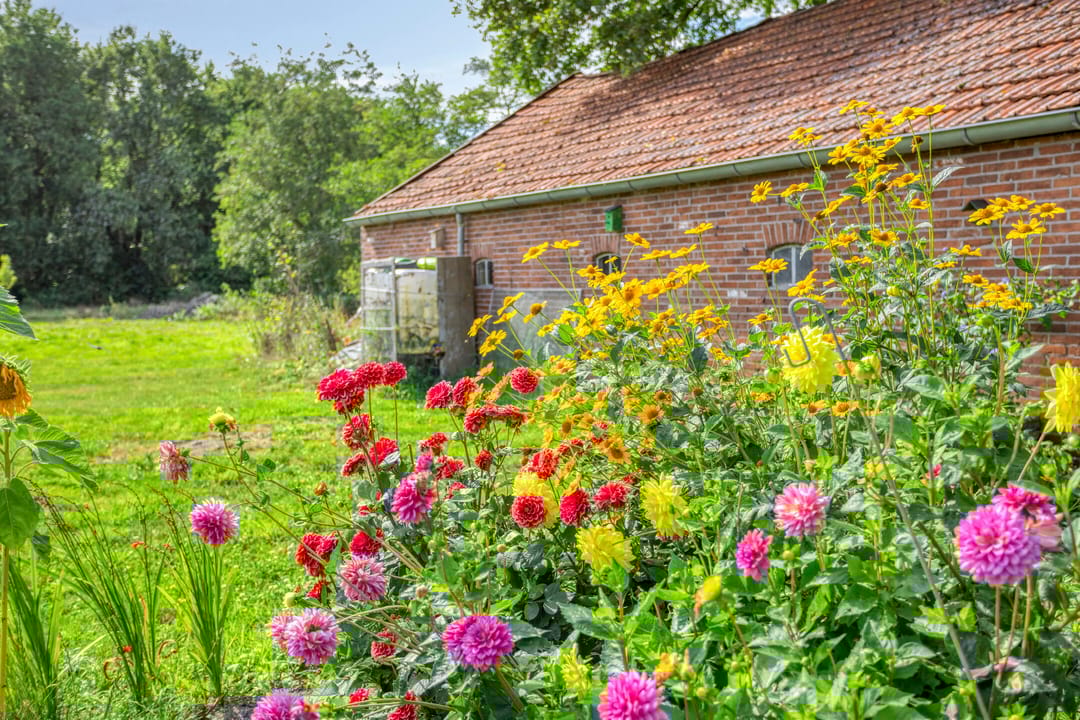 Foto 46 van Noordercolonie 68