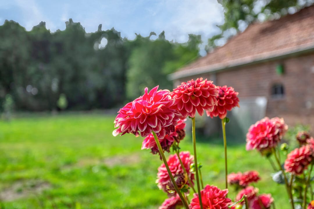 Foto 47 van Noordercolonie 68