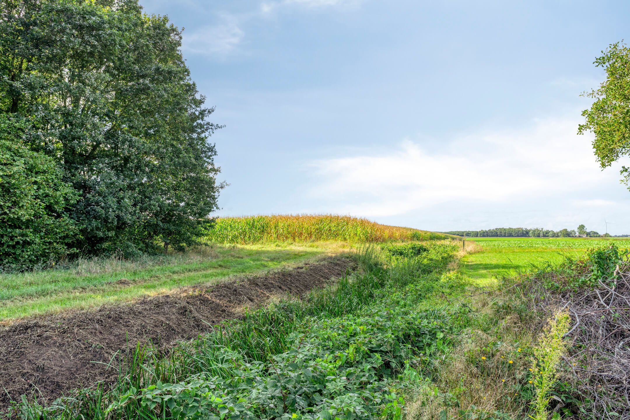 Foto 54 van Noordercolonie 68