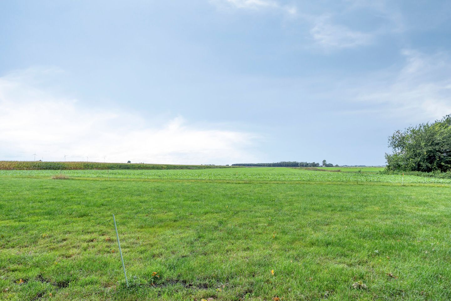 Foto 55 van Noordercolonie 68