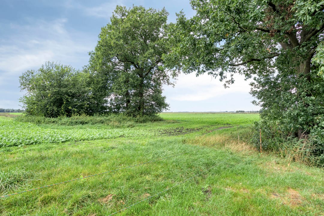 Foto 56 van Noordercolonie 68