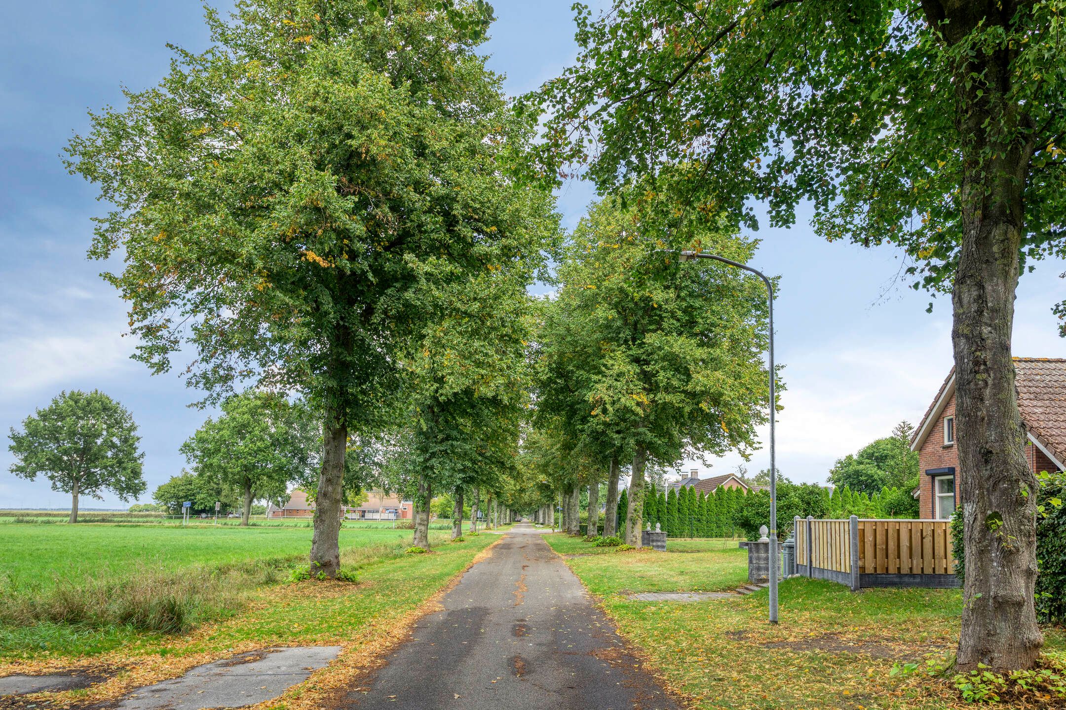 Foto 57 van Noordercolonie 68