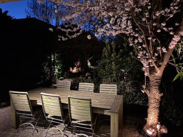 Foto 21 van Cornelis van Eesterenlaan 51