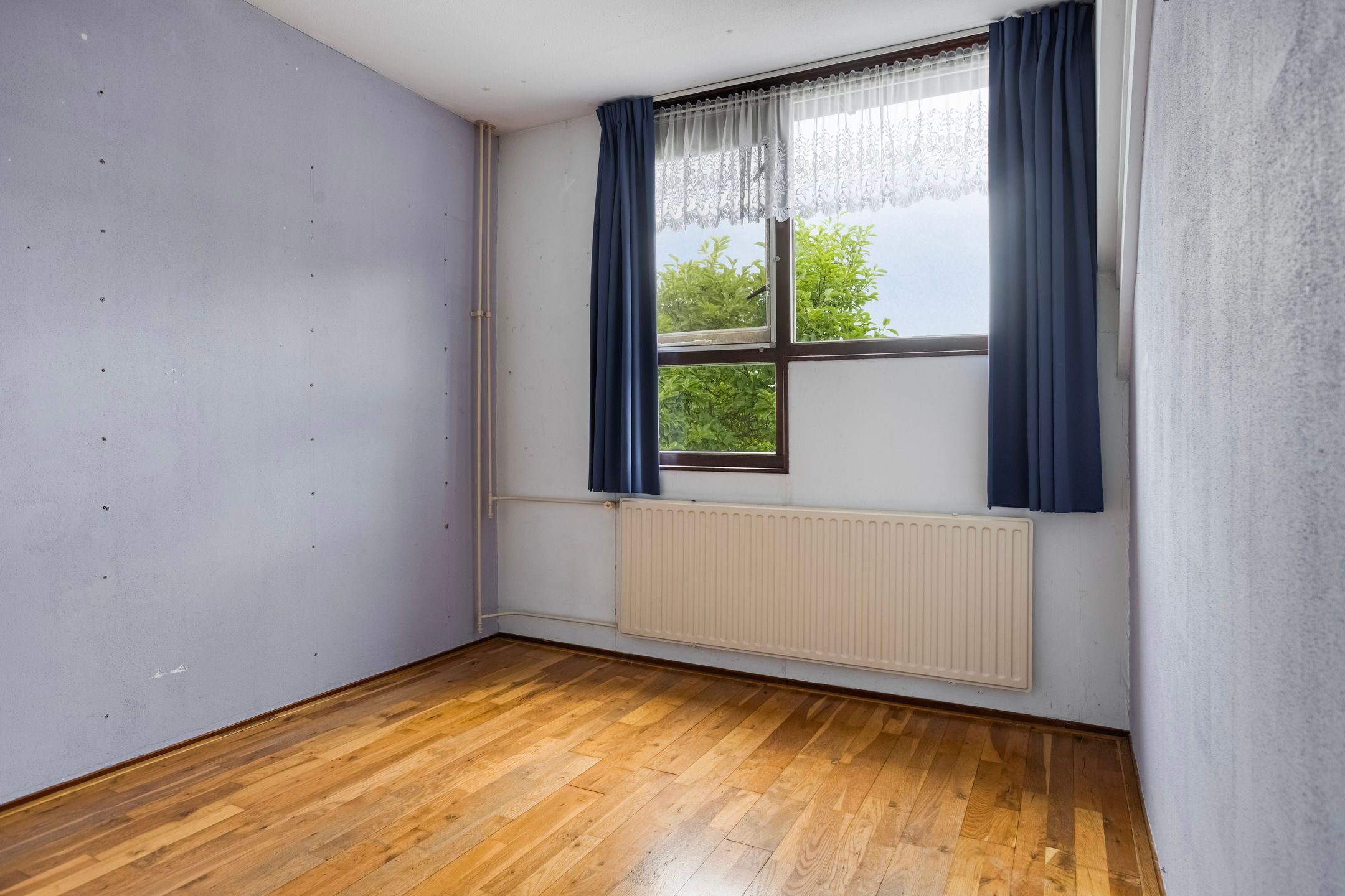 Foto 15 van Bas de Blokrede 6