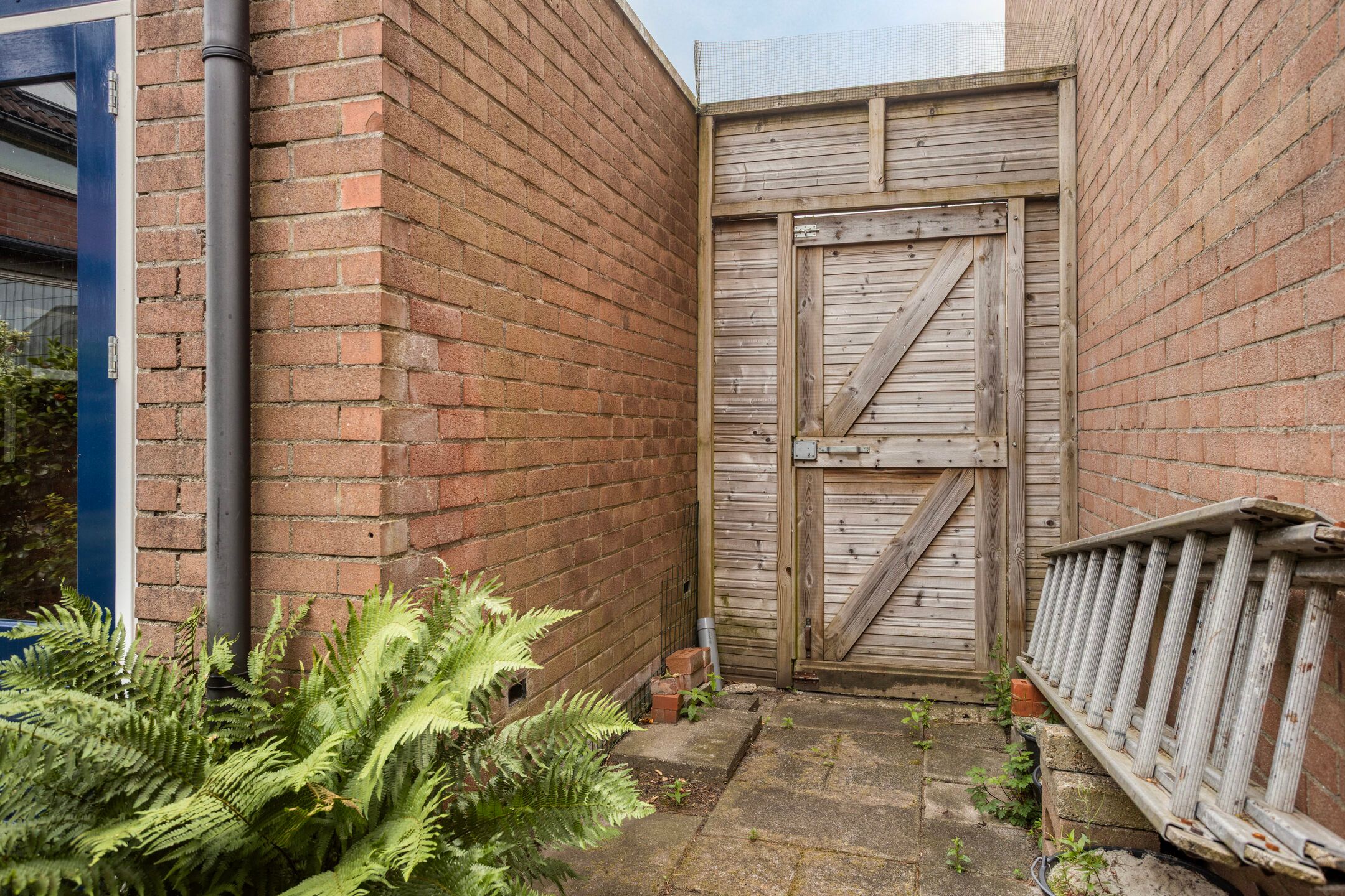 Foto 27 van Bas de Blokrede 6