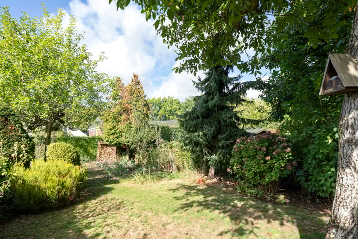 Foto 31 van Lupinestraat 10