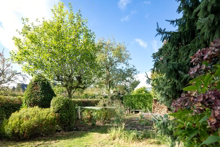 Foto 34 van Lupinestraat 10