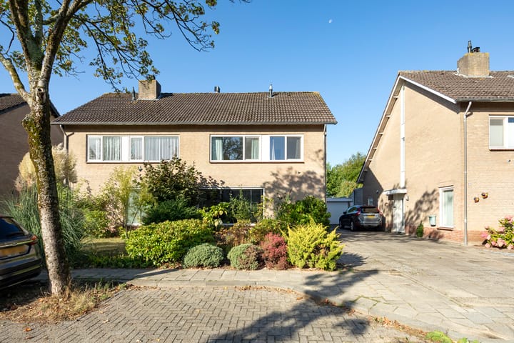 Foto 43 van Lupinestraat 10