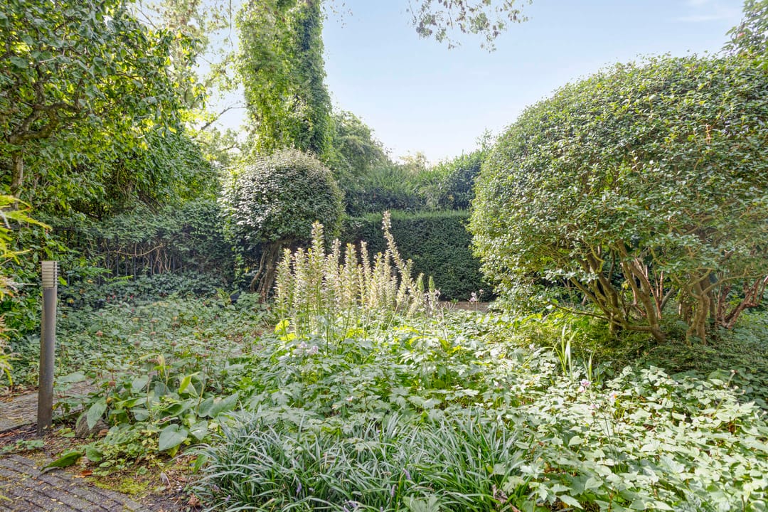 Foto 38 van Burgemeester Eliasstraat 3