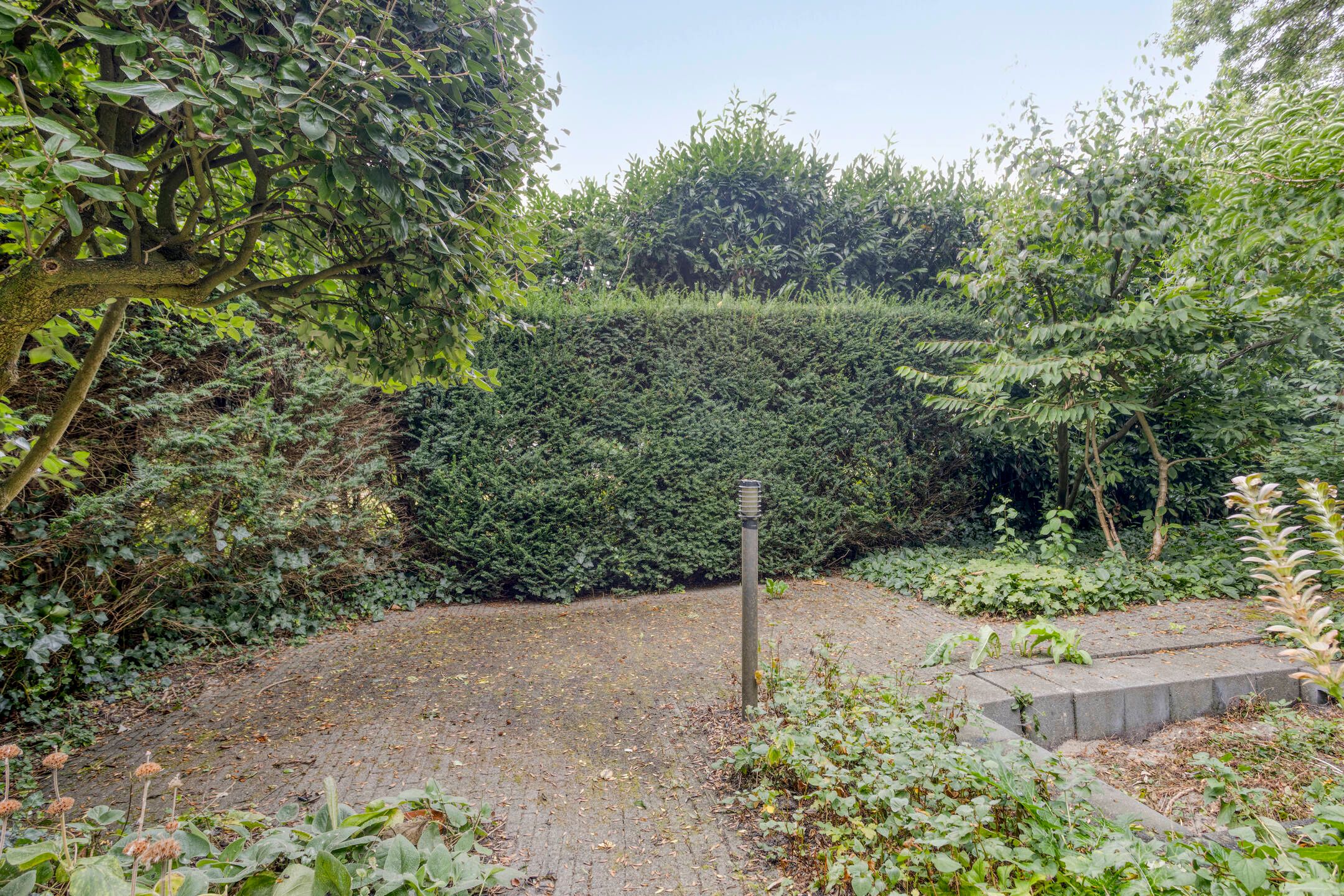 Foto 39 van Burgemeester Eliasstraat 3