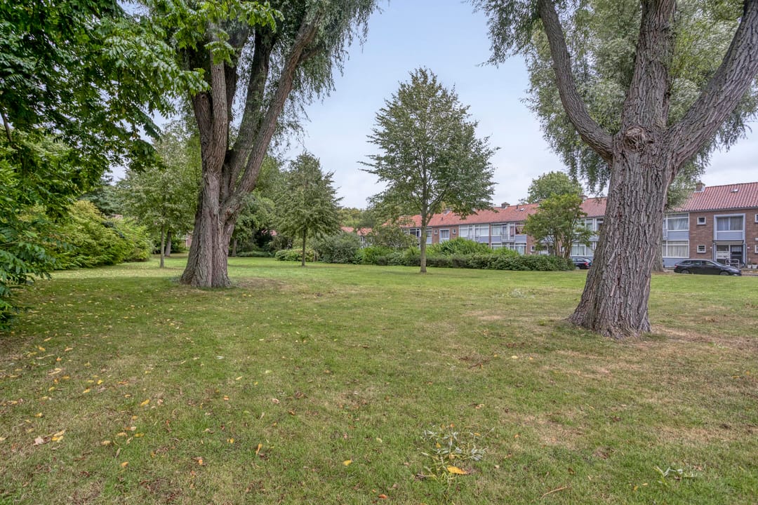 Foto 43 van Burgemeester Eliasstraat 3