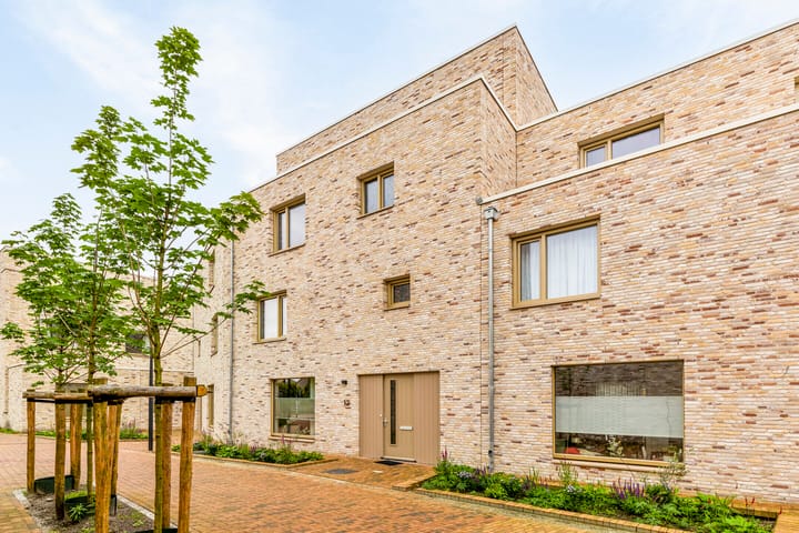 Photo 5 of Menkopad 12