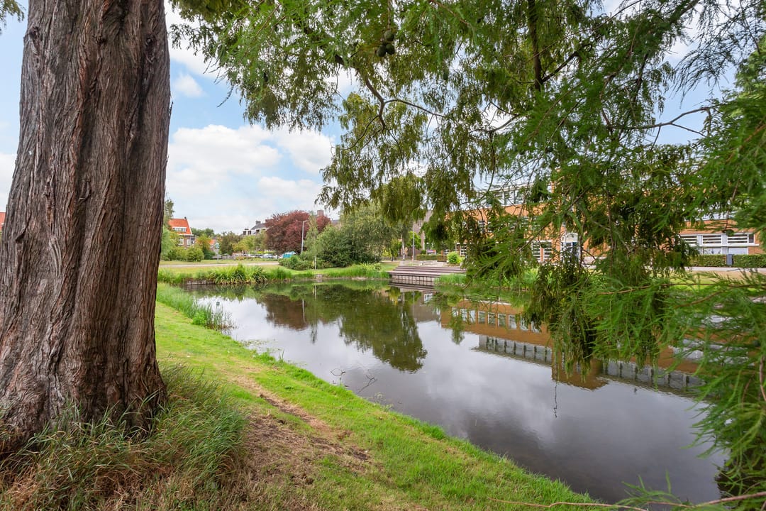 Foto 31 van Molenvijver 18