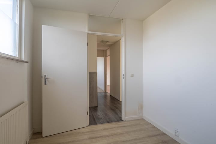 Foto 16 van Adamello 1